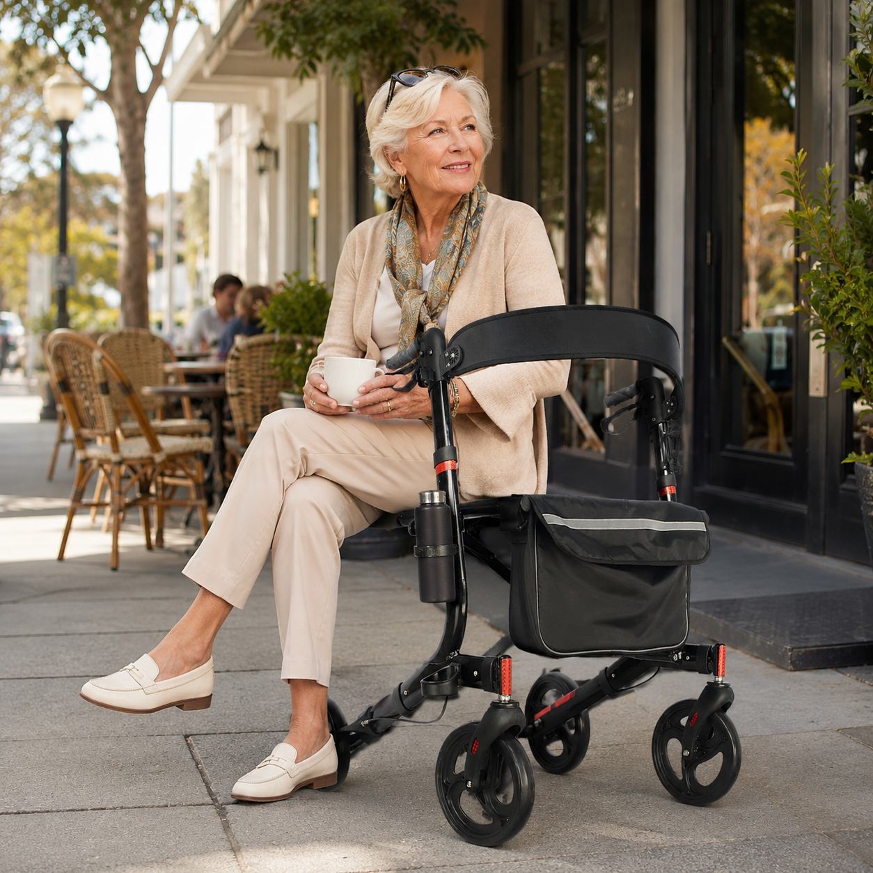 DeepTita Foldable Rollator Walker with Seat, Classic Edition