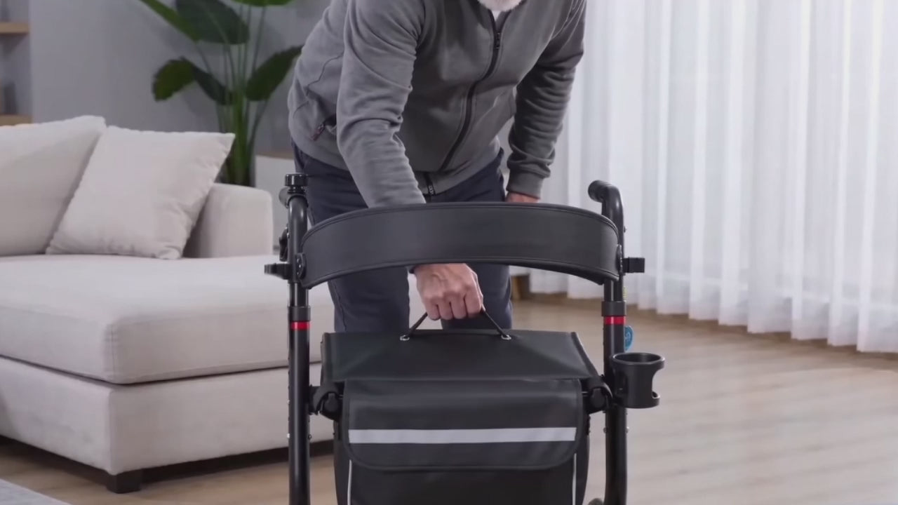 DeepTita Foldable Rollator Walker with Seat, Classic Edition